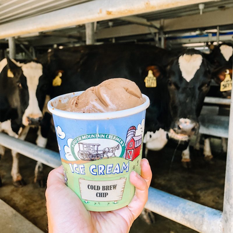 Get the Scoop on the 2021 Maryland's Best Ice Cream Trail