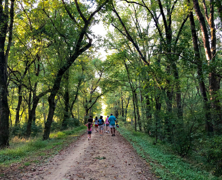 Walk MD Sunset Stroll Canal Towpath