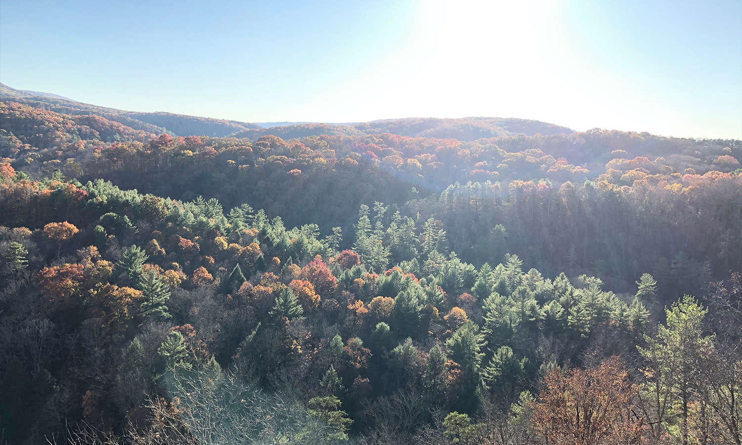 Green Ridge State Forest 