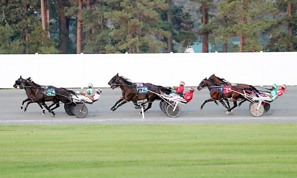 Experience Maryland's History of Horse Racing