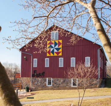 Birds In Flight Barn Quilt