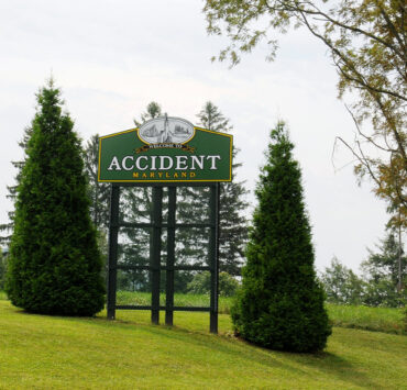 Accident Road Sign in Forest