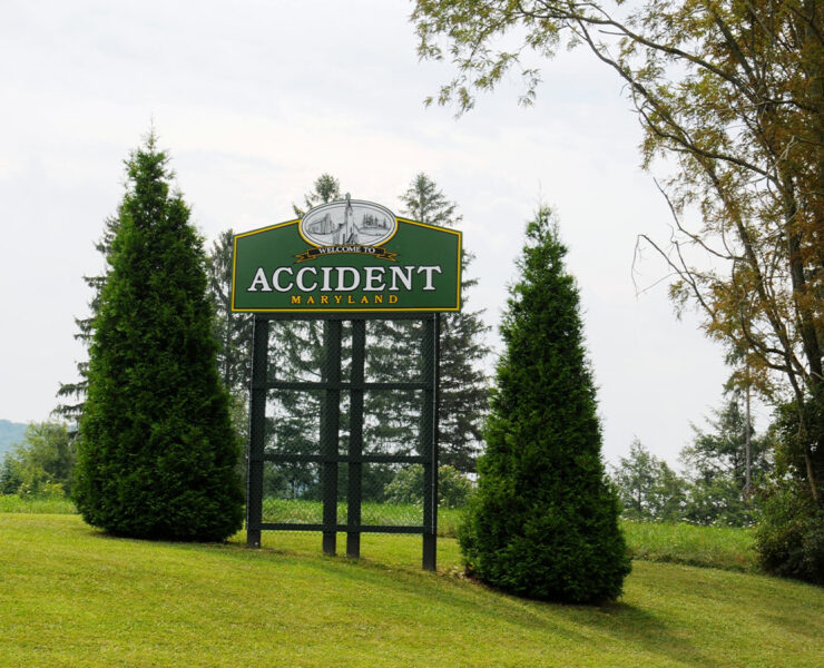 Accident Road Sign in Forest