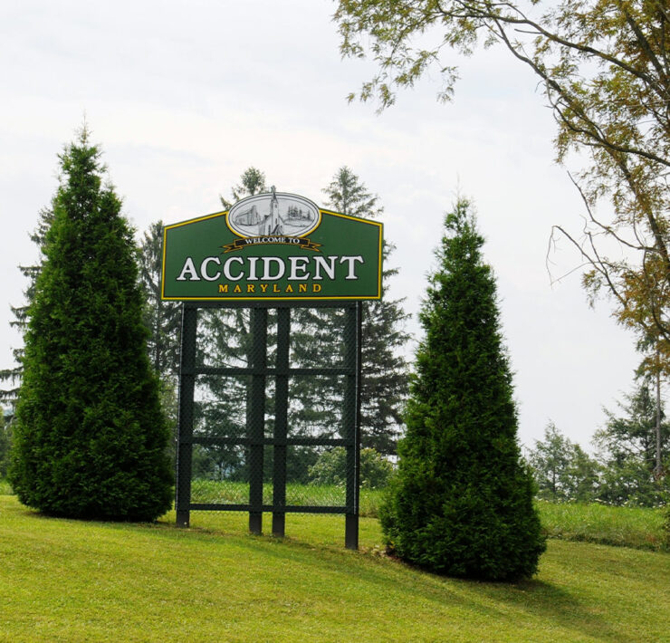 Accident Road Sign in Forest