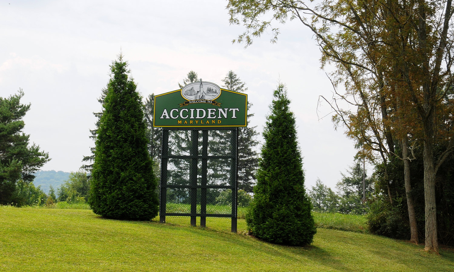 Accident Road Sign in Forest