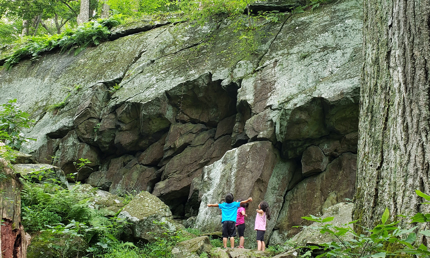 Exploring Cunningham Falls State Park in Thurmont, MD