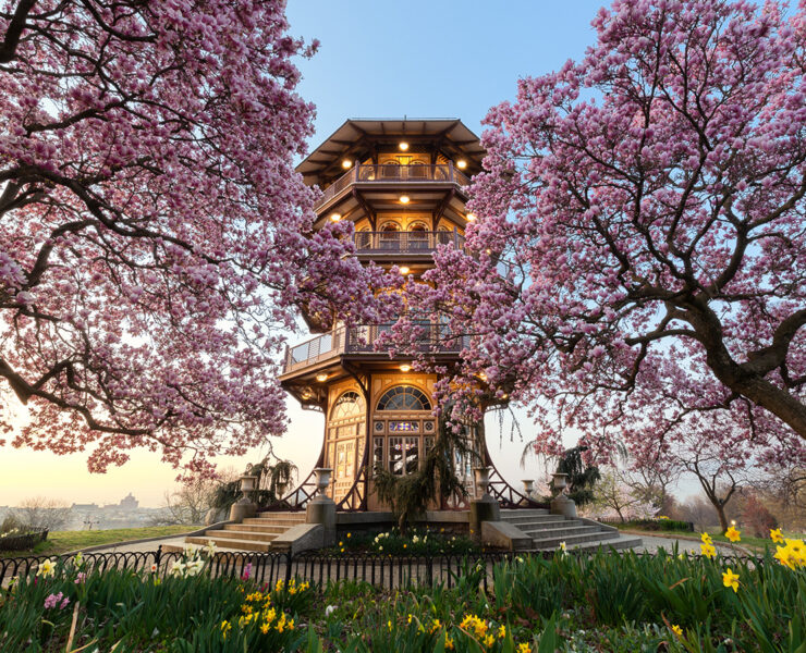 Patterson Park Pagoda behind blooming cherry trees