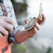 True Chesapeake Oyster Co.