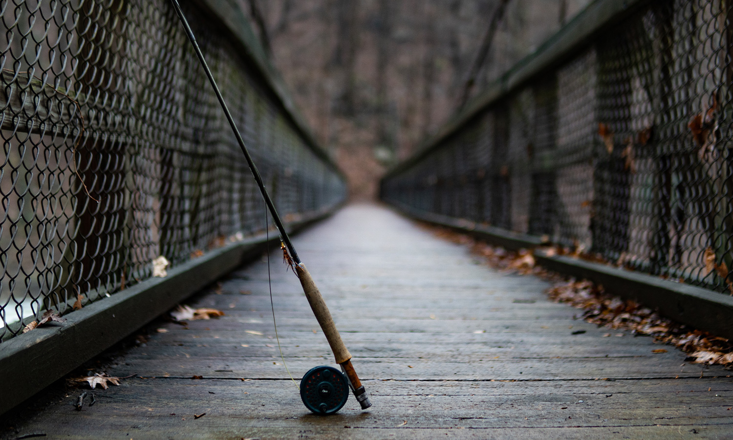 Fly Fishing for Backcountry Brook Trout in Western Maryland