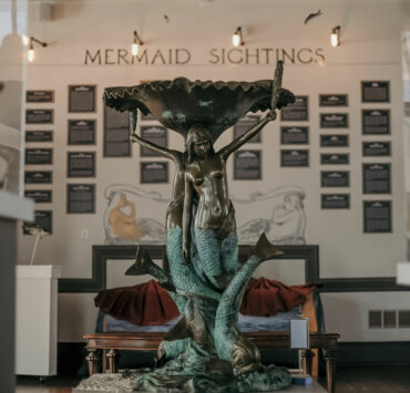 Interior of the Mermaid Museum