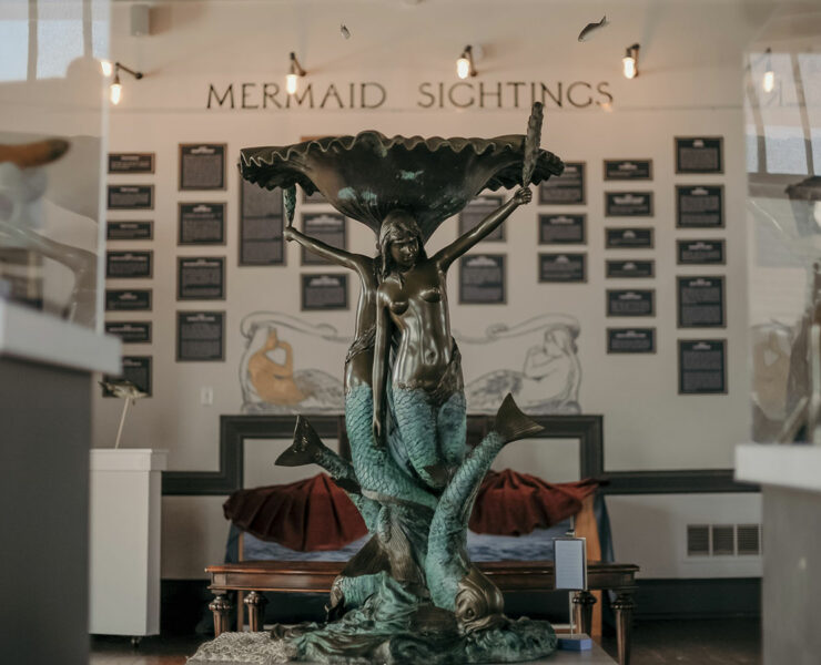 Interior of the Mermaid Museum