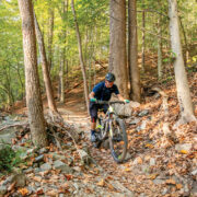 Man riding a bike through the woods