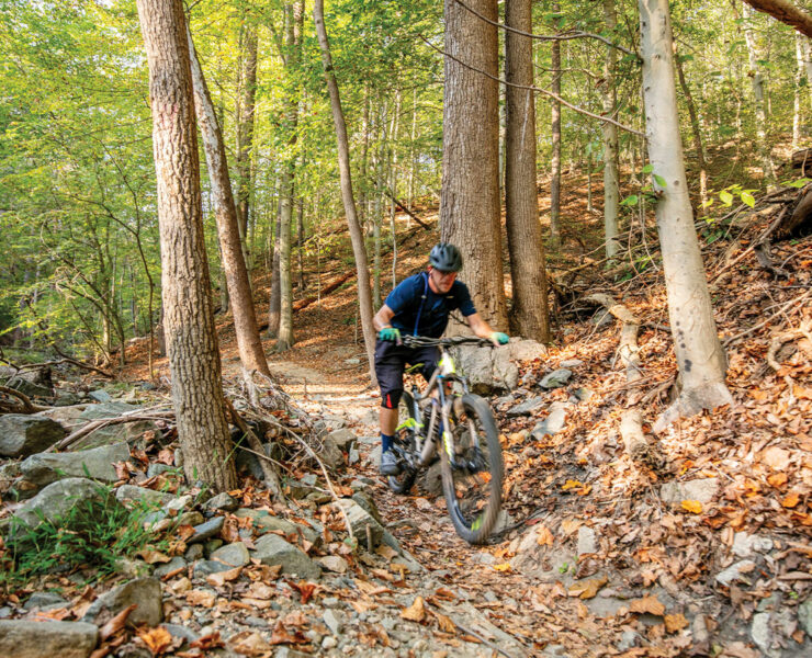 Man riding a bike through the woods