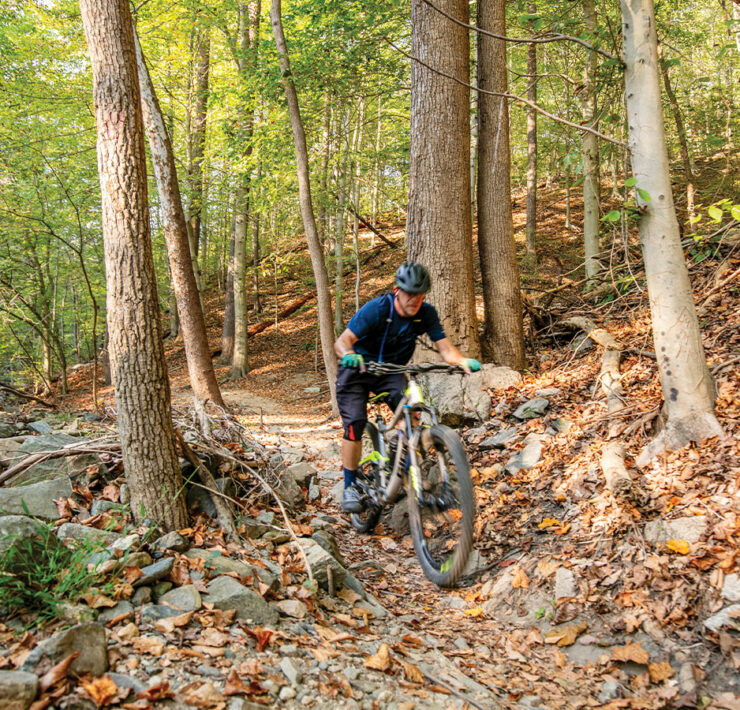 Man riding a bike through the woods