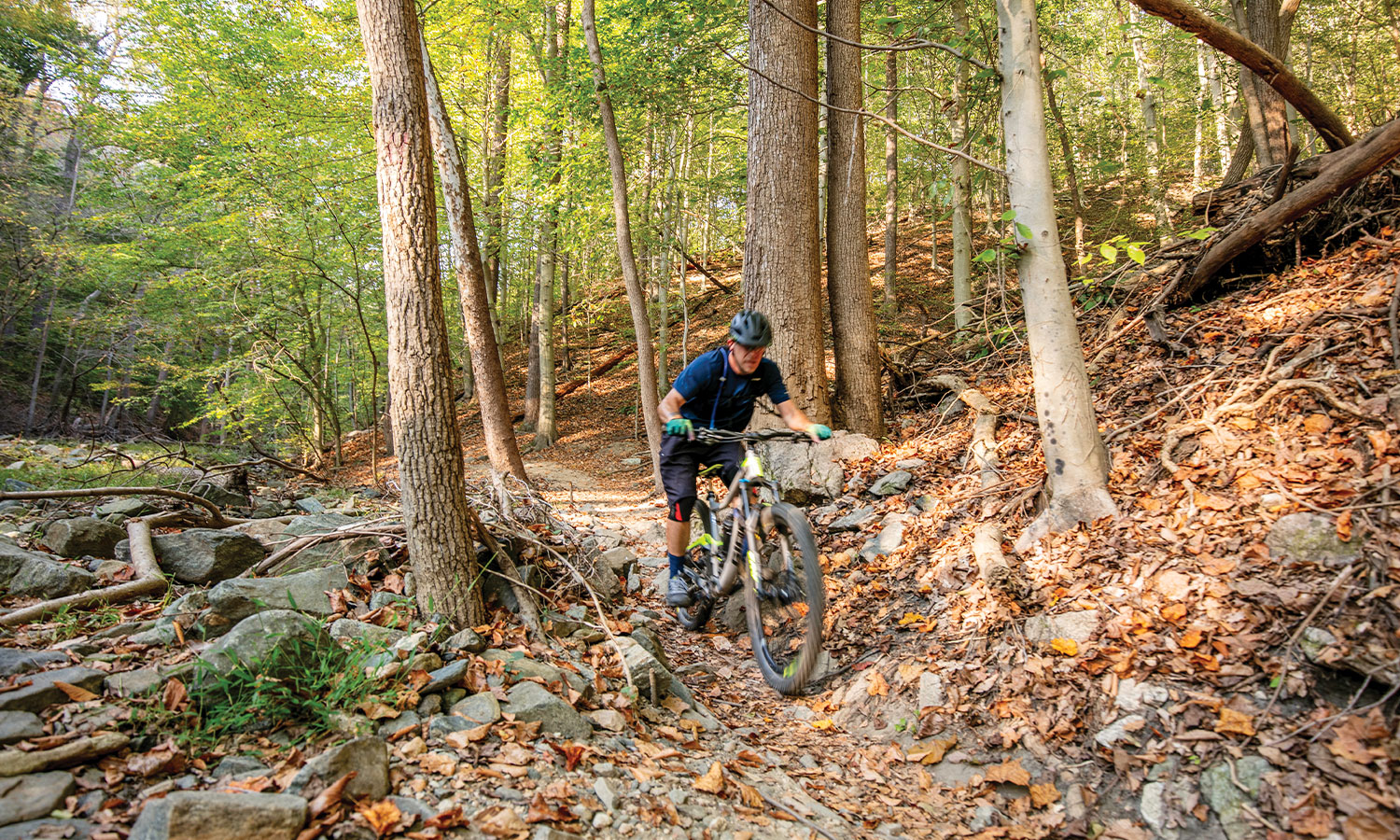 Man riding a bike through the woods