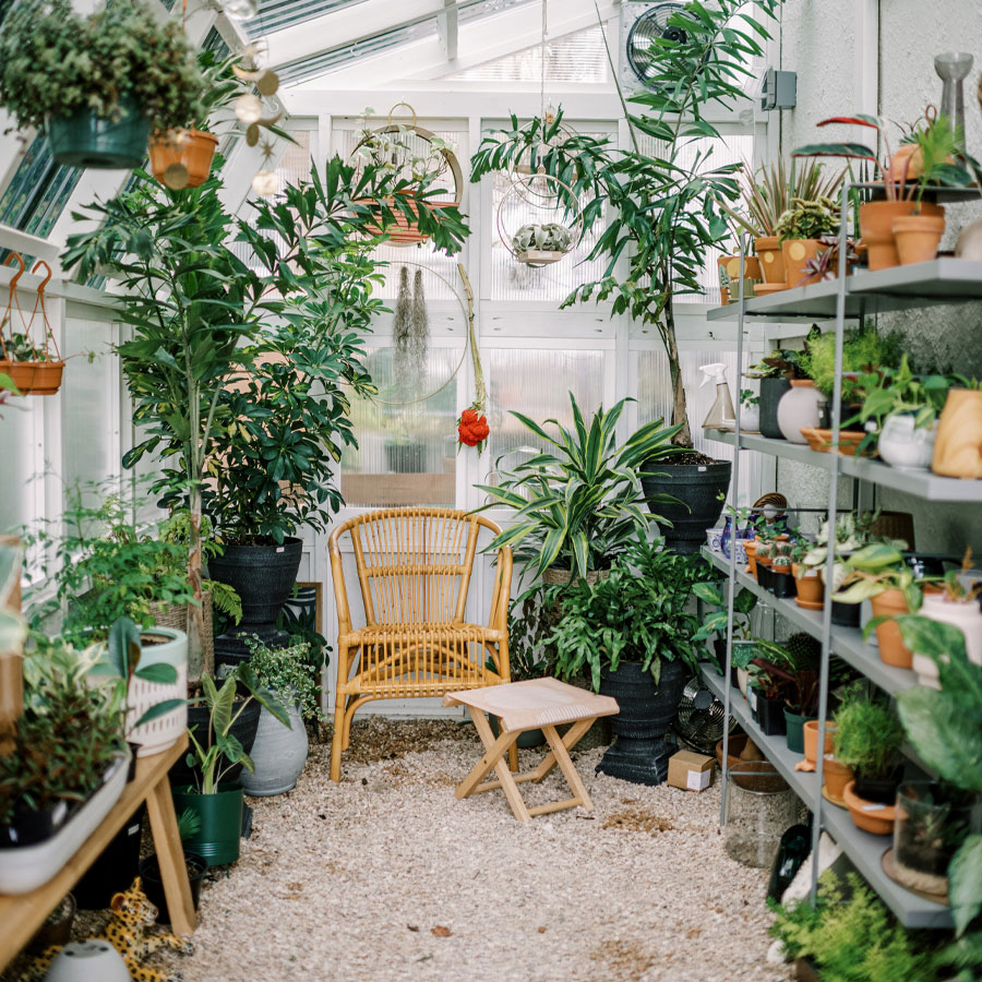 Greenhouse with luscious plants