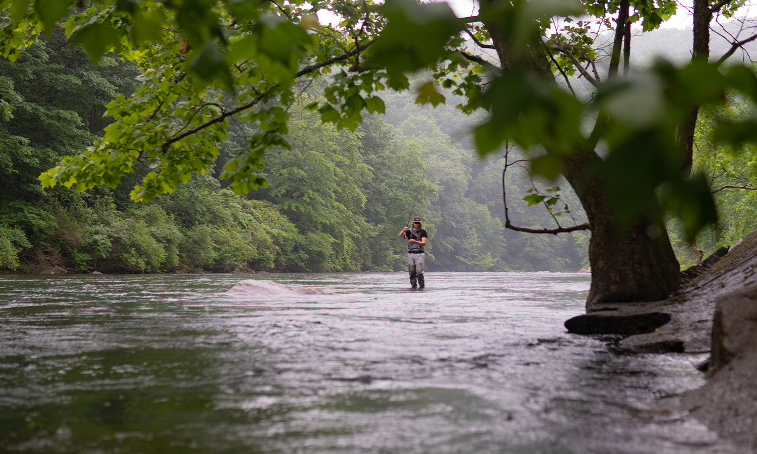 Fly Fishing for Backcountry Brook Trout in Western Maryland » Maryland Road  Trips