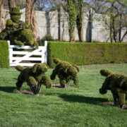 The Hunt Scene topiary creations