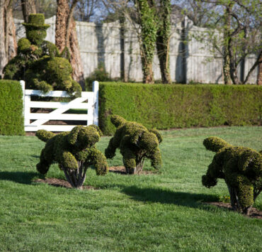 The Hunt Scene topiary creations