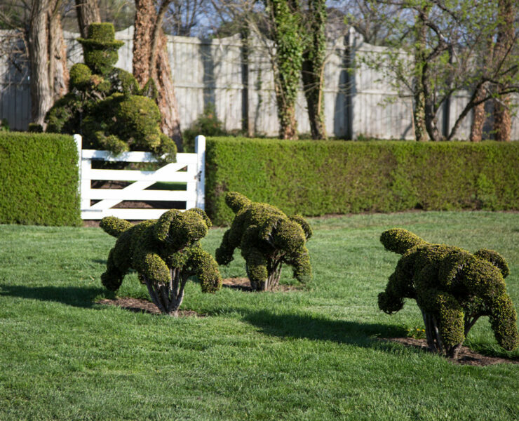 The Hunt Scene topiary creations