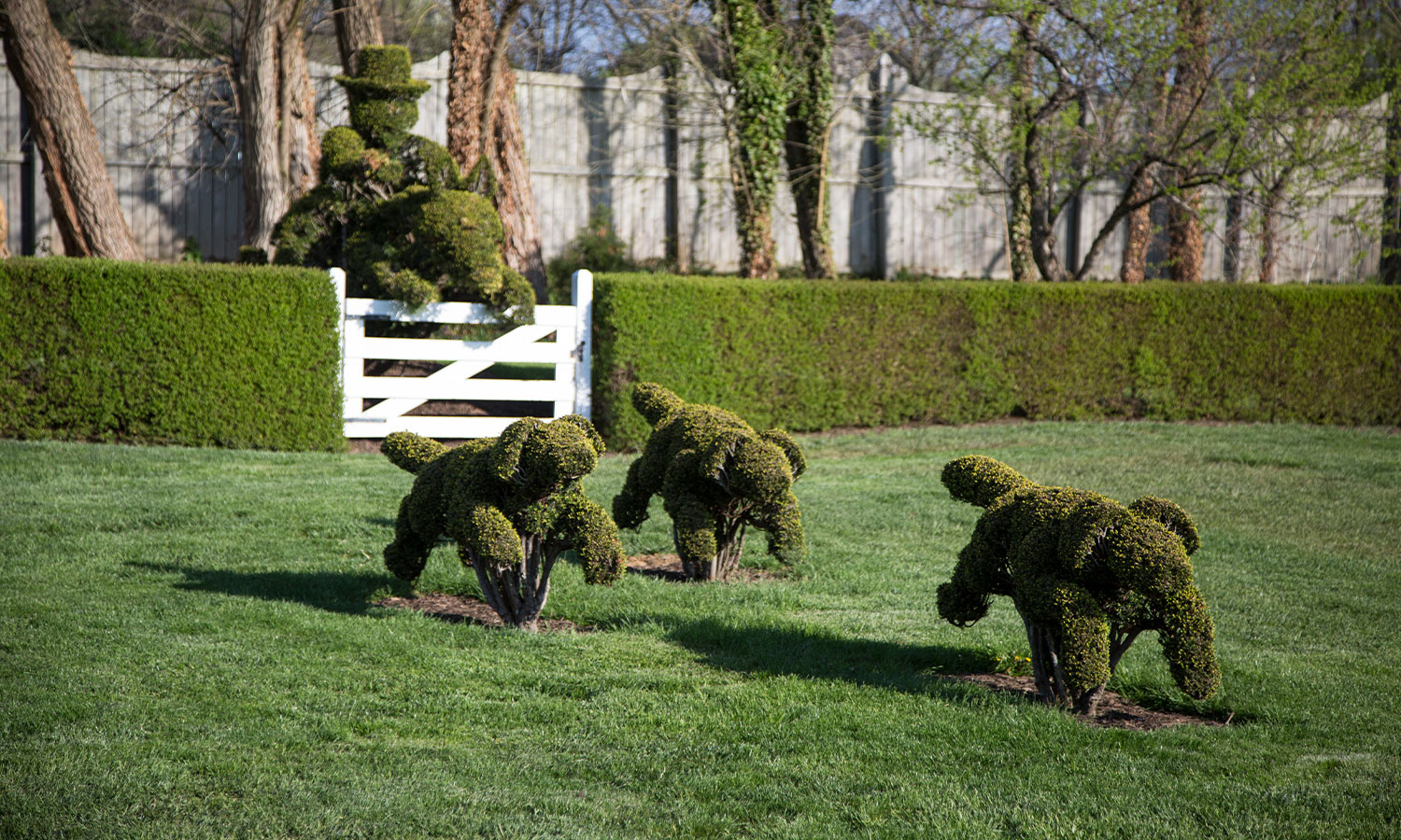 Ladew Topiary Gardens The Real Secret