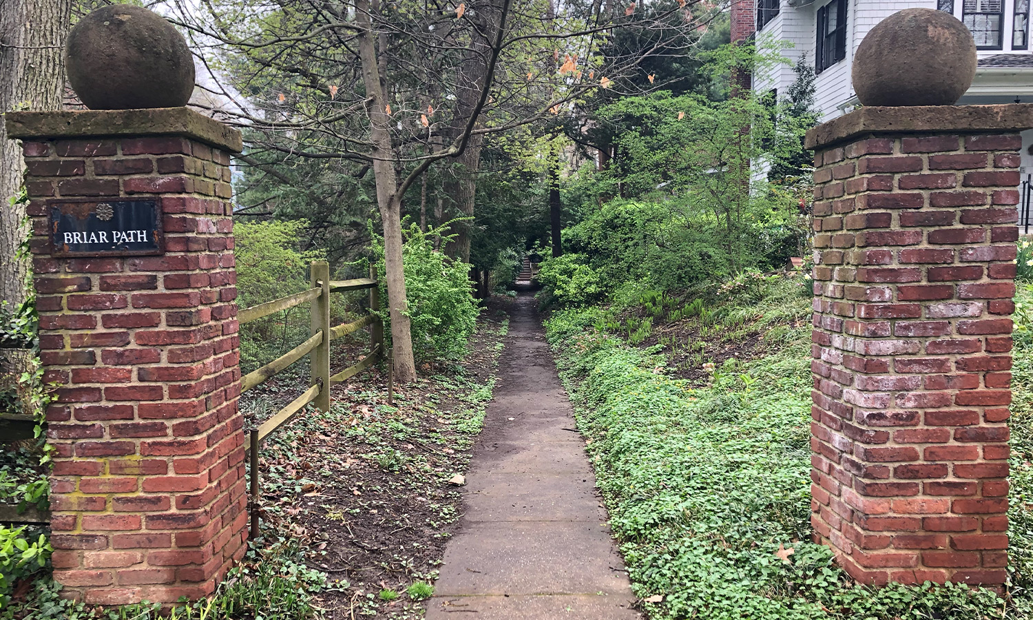 The Briar Path in Roland Park