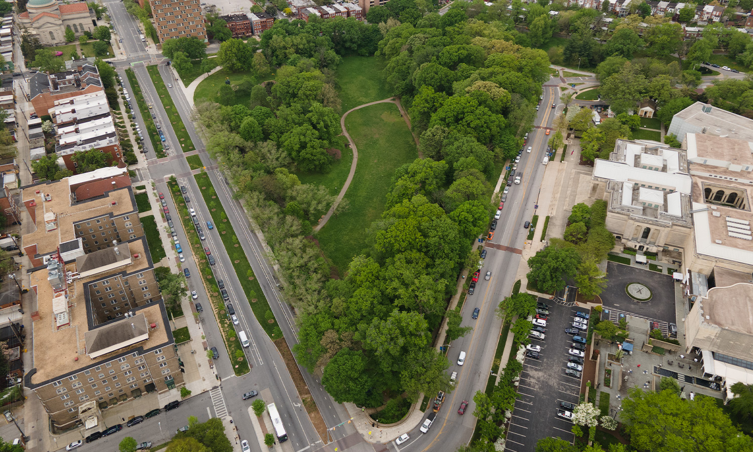 Wyman Park Dell