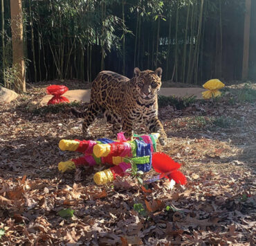 Catoctin Wildlife Preserve