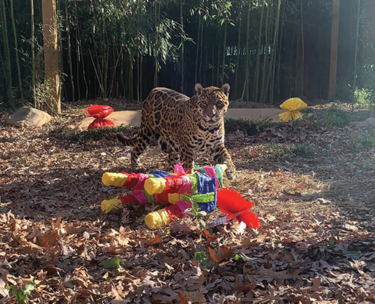 Catoctin Wildlife Preserve