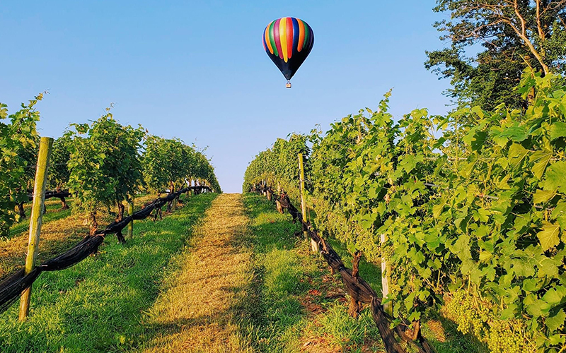 Linganore Winecellars