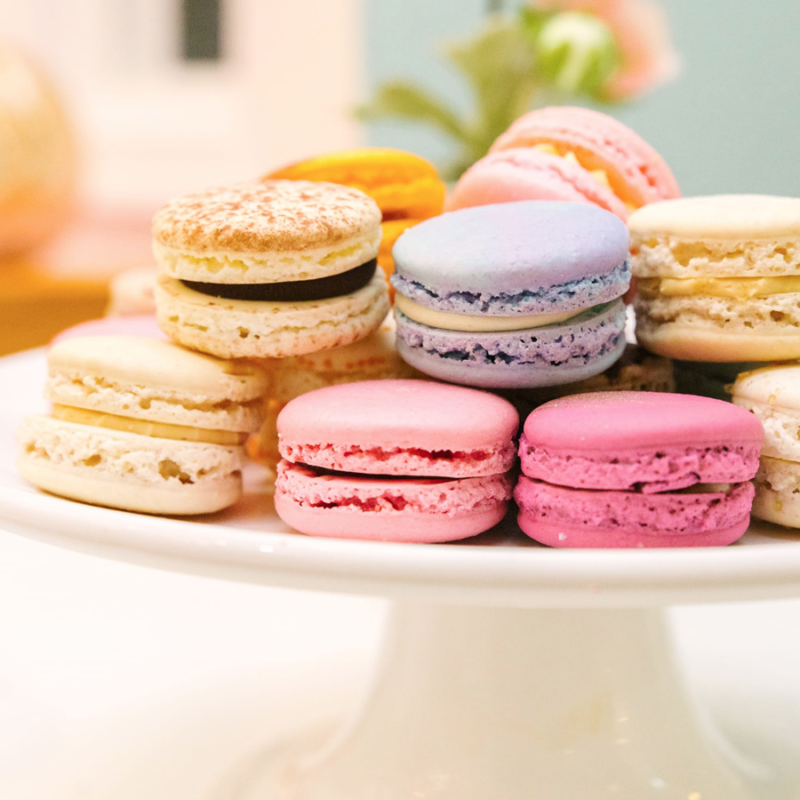 Choose Your Own Adventure in Havre de Grace, Maryland