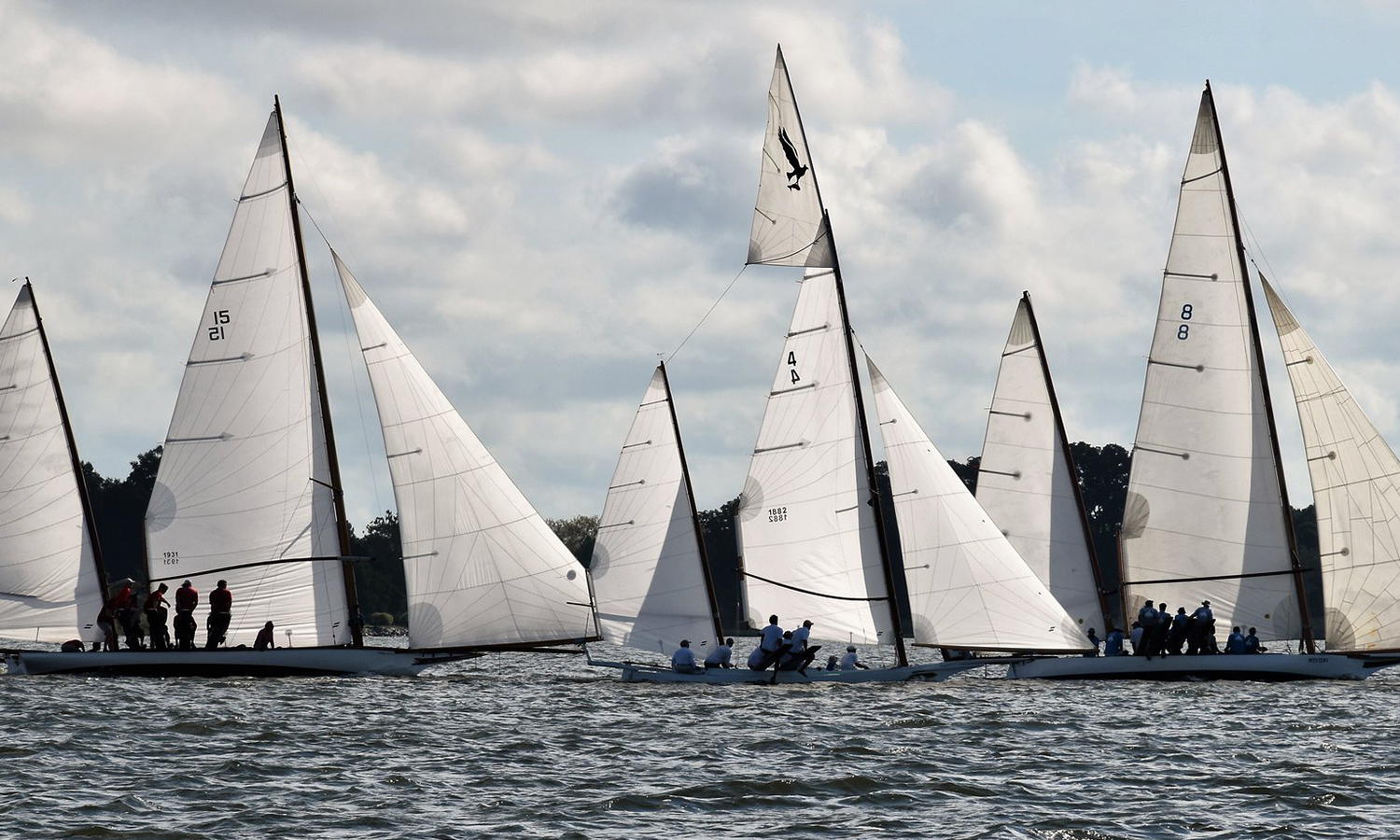 Boats Sailing on the Water