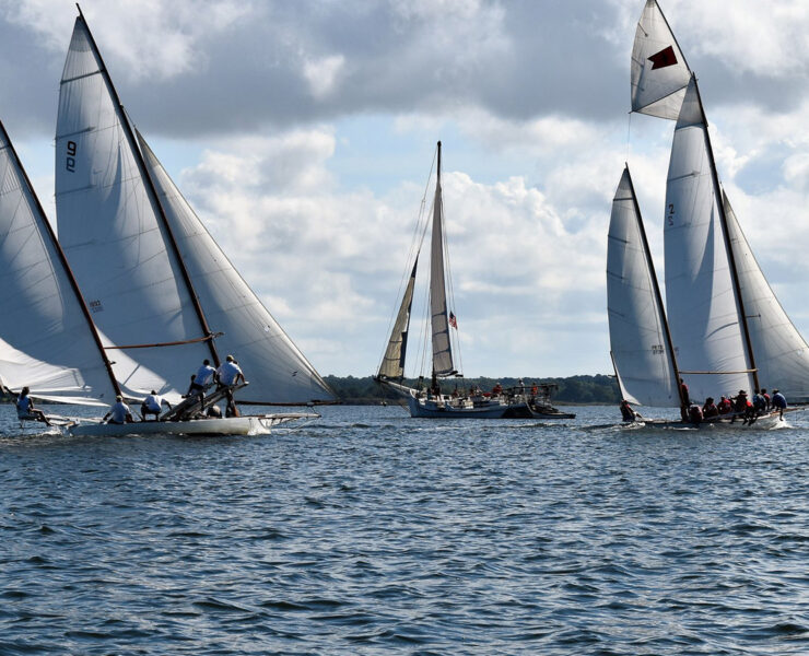 Sailboats on the water
