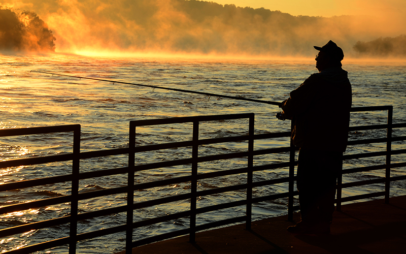 Fisherman Fishing