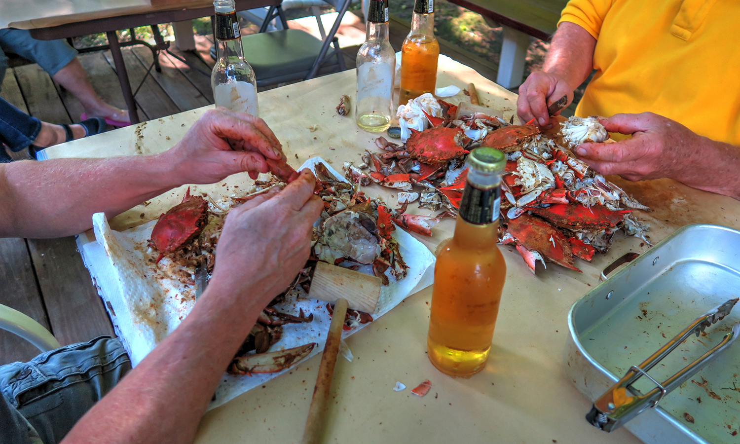 Two people eating crabs