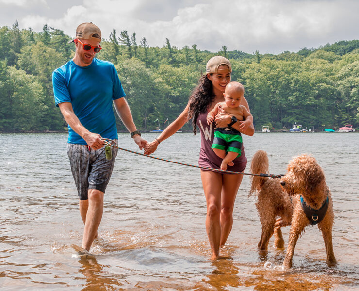 Mother, Father, and child walking a dog in the water