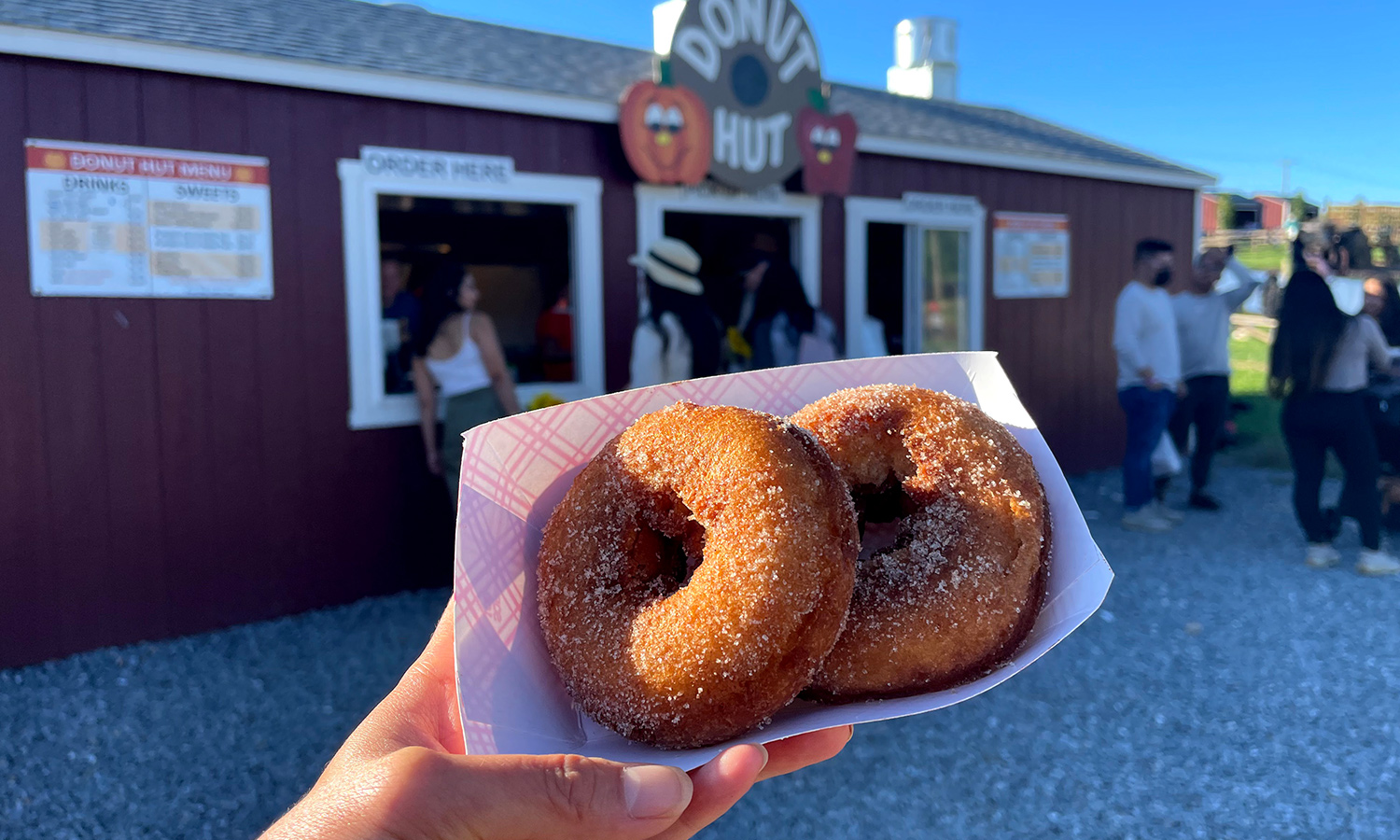 Donuts in a cardboard