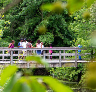 A group on the audio tour at Adkins Arboretum in Ridgeville, MD.