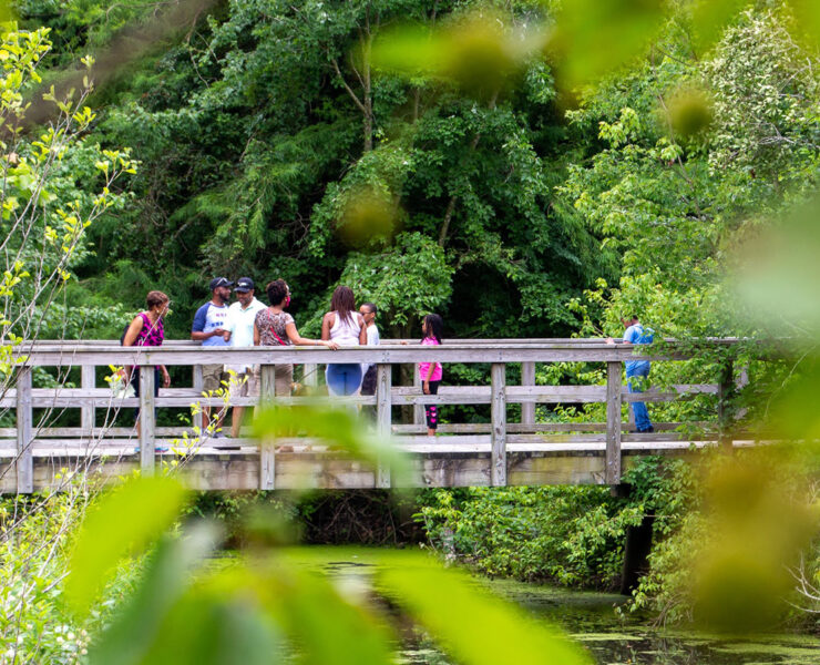 A group on the audio tour at Adkins Arboretum in Ridgeville, MD.