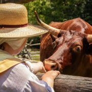 Interact with heritage breed animals at Godiah Spray Tobacco Plantation at Historic St. Mary’s City