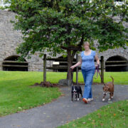 woman walking two dogs in a park