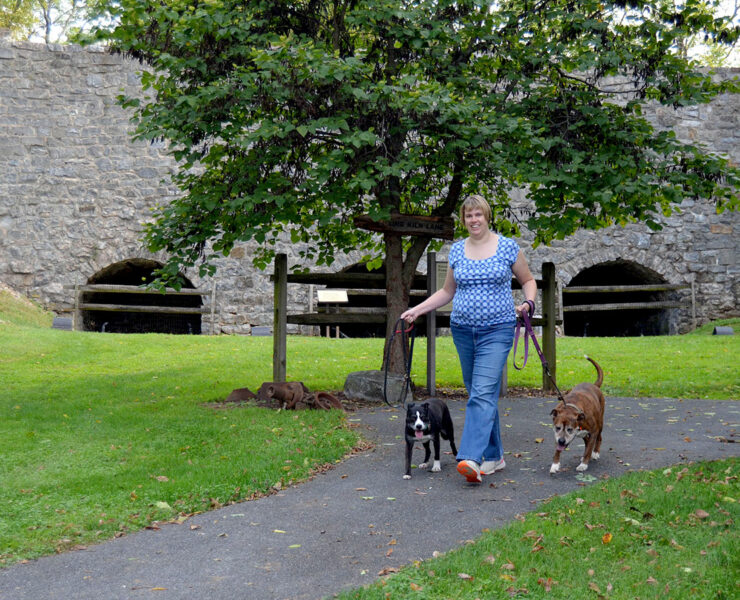 woman walking two dogs in a park