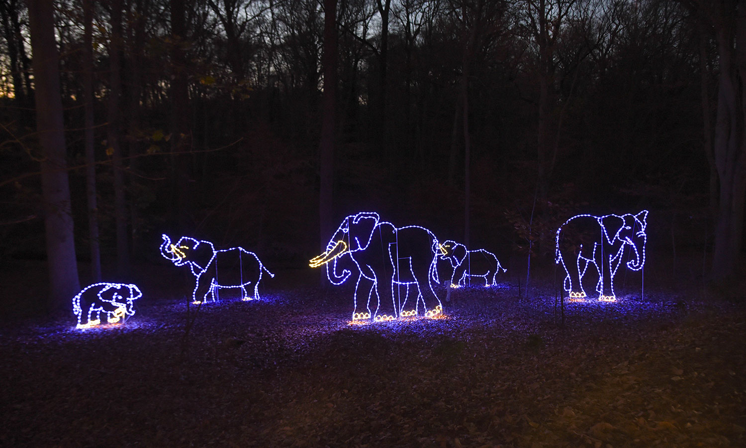Elephant lights