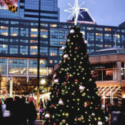 Christmas Tree in Baltimore City