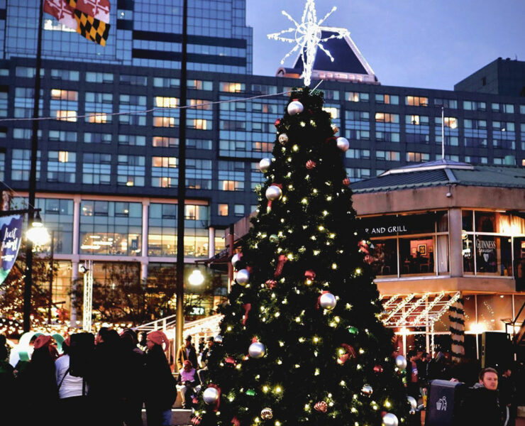Christmas Tree in Baltimore City