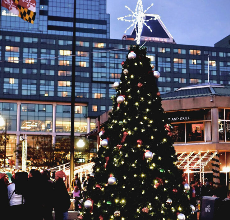 Christmas Tree in Baltimore City