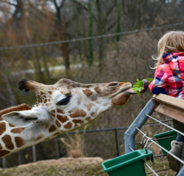 The Maryland Zoo