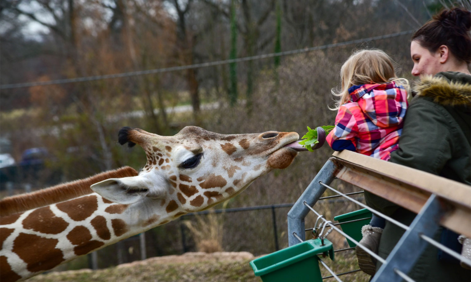The Maryland Zoo