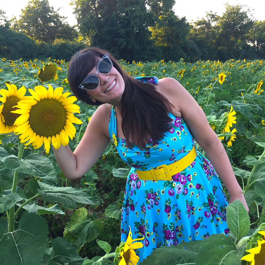 sunflowers