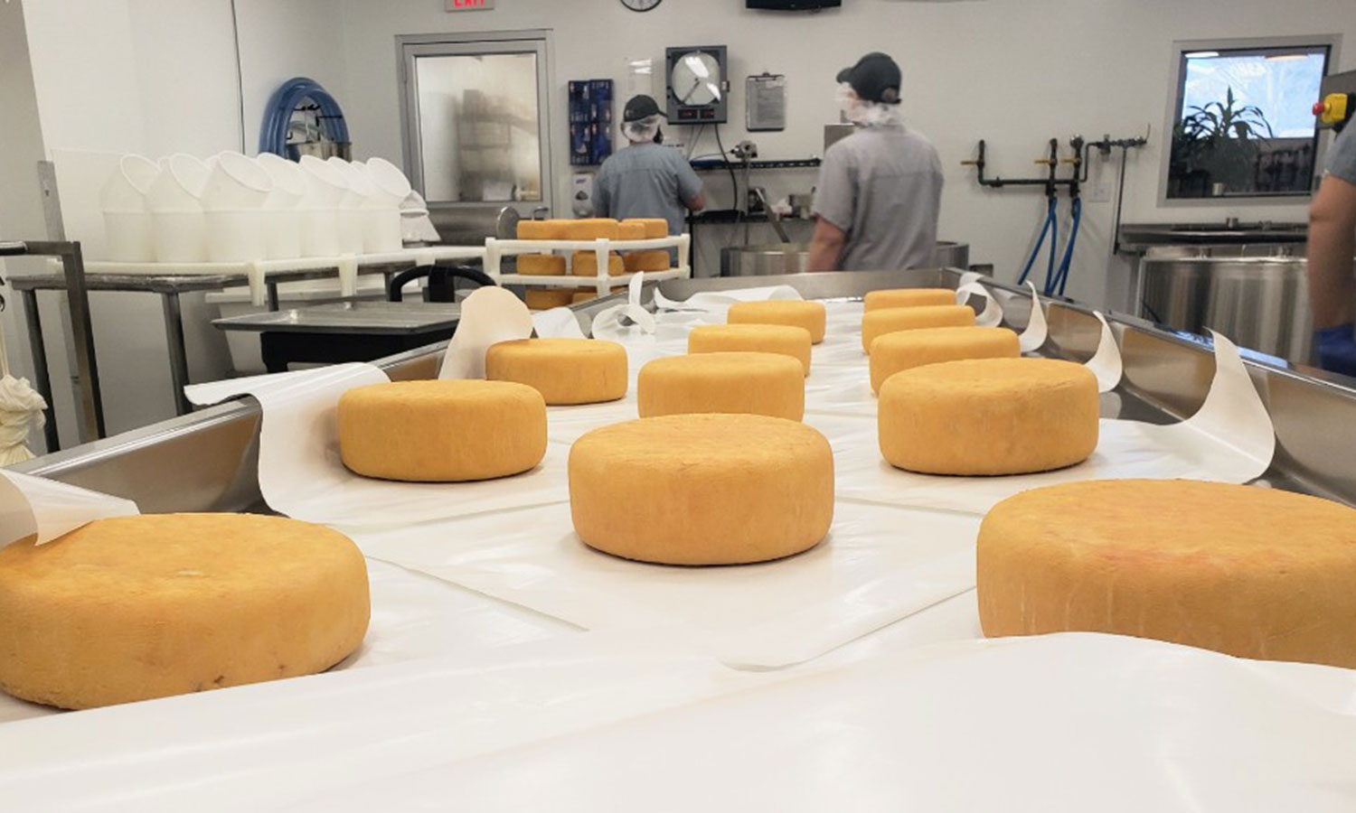 Dive Into Dairy History & Get Your Hands on Maryland Cheese » Maryland Road  Trips